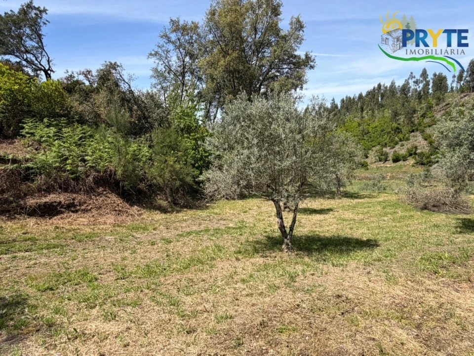 Terreno para Venda em Varzea dos Cavaleiros Foto 12