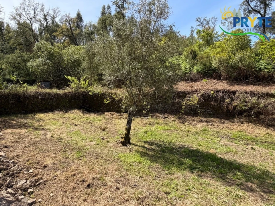 Terreno para Venda em Varzea dos Cavaleiros Foto 13