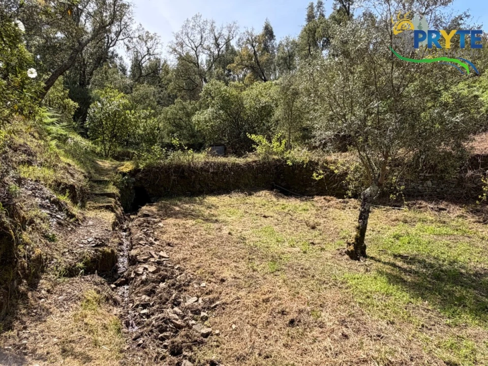 Terreno para Venda em Varzea dos Cavaleiros Foto 14