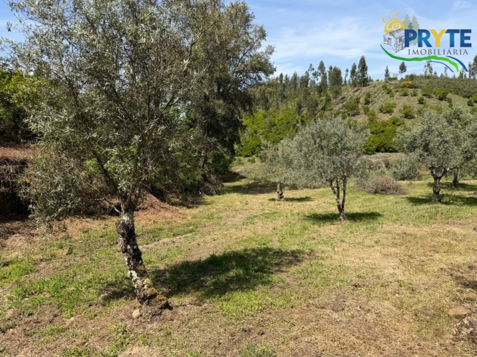 Terreno para Venda em Varzea dos Cavaleiros Foto 17