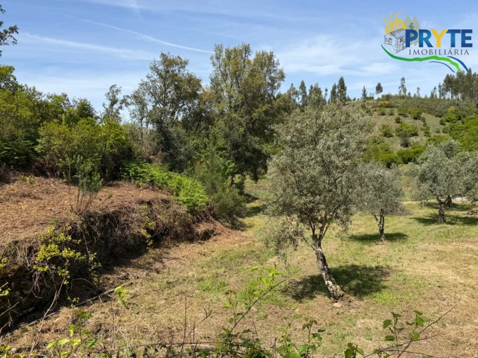 Terreno para Venda em Varzea dos Cavaleiros Foto 19