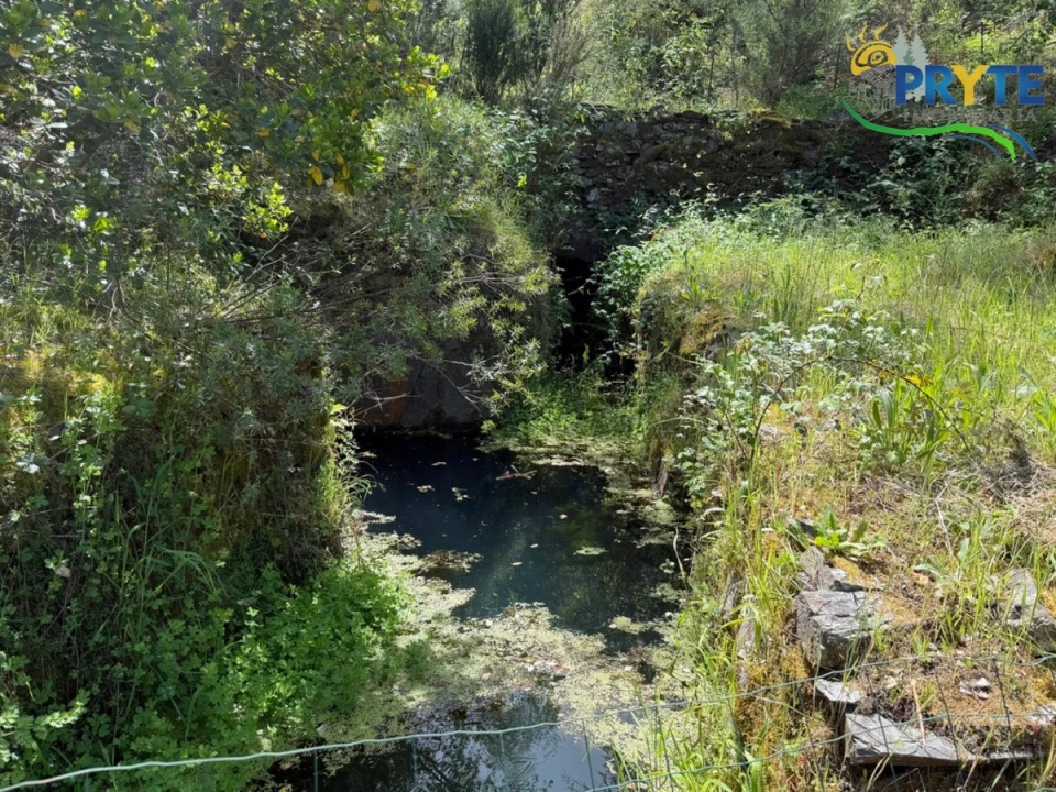 Terreno para Venda em Varzea dos Cavaleiros Foto 20