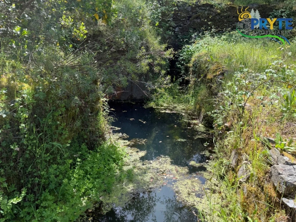 Terreno para Venda em Varzea dos Cavaleiros Foto 23