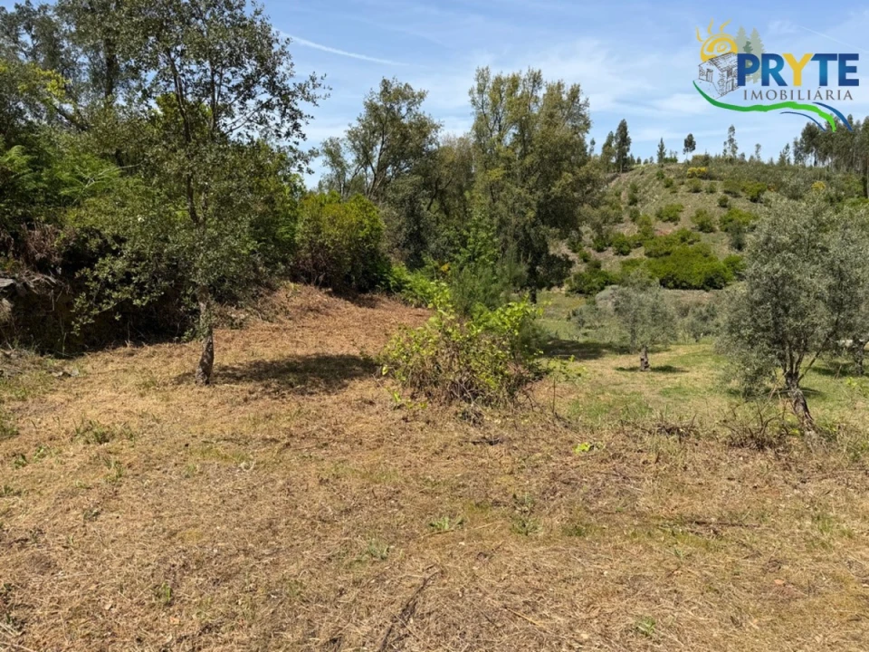 Terreno para Venda em Varzea dos Cavaleiros Foto 24