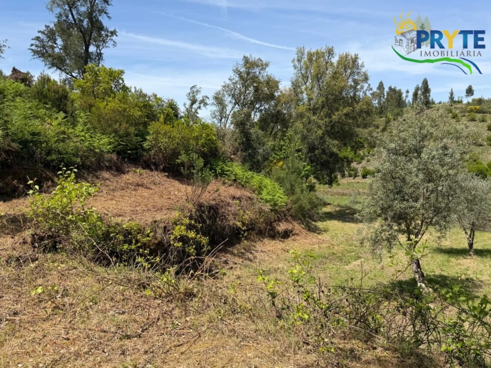 Terreno para Venda em Varzea dos Cavaleiros Foto 25
