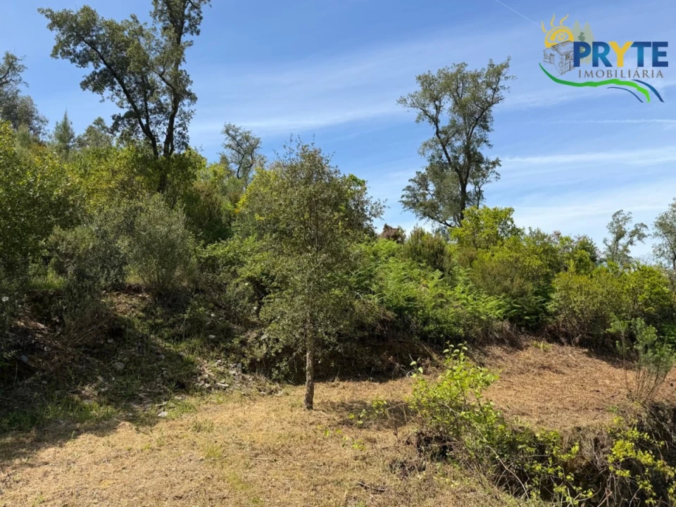 Terreno para Venda em Varzea dos Cavaleiros Foto 26