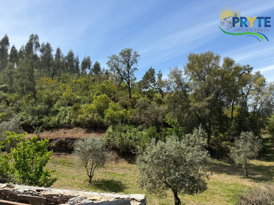 Terreno para Venda em Varzea dos Cavaleiros Foto 28