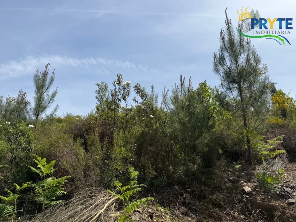 Terreno para Venda em Varzea dos Cavaleiros Foto 29