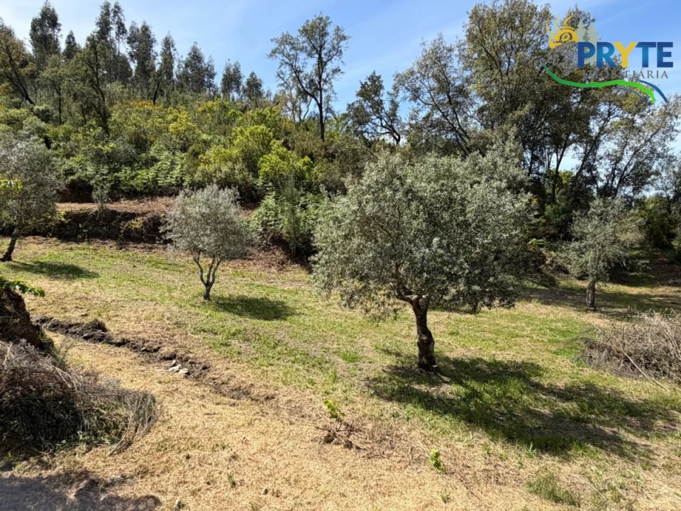 Terreno para Venda em Varzea dos Cavaleiros Foto 33