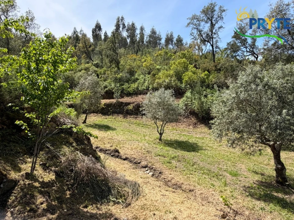 Terreno para Venda em Varzea dos Cavaleiros Foto 34