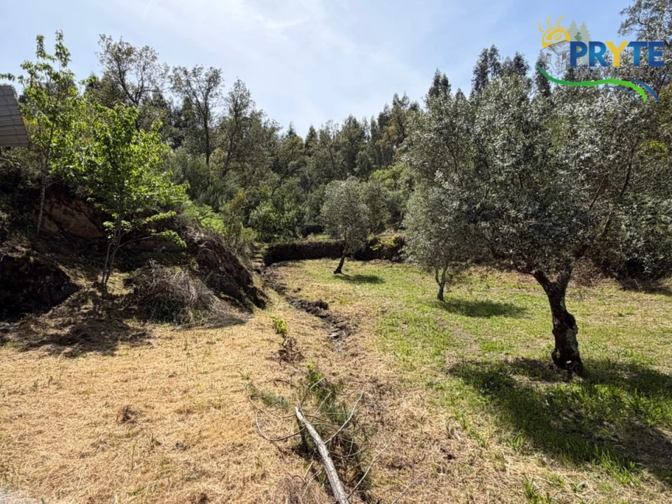 Terreno para Venda em Varzea dos Cavaleiros Foto 36