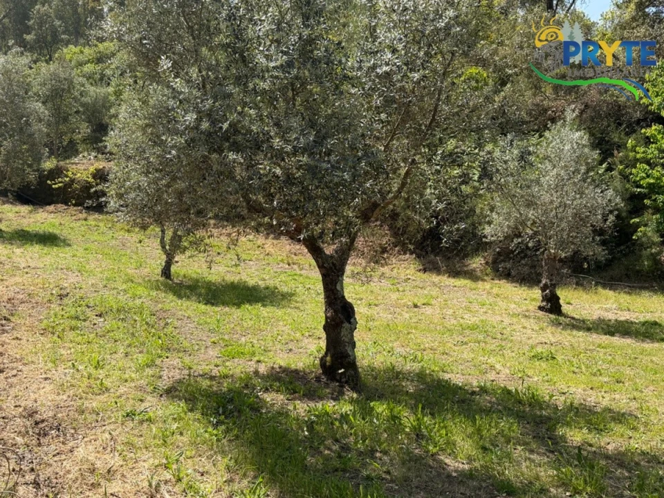 Terreno para Venda em Varzea dos Cavaleiros Foto 38
