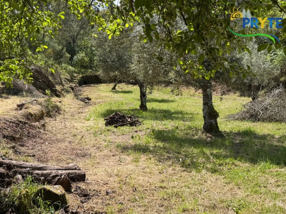 Terreno para Venda em Varzea dos Cavaleiros Foto 39