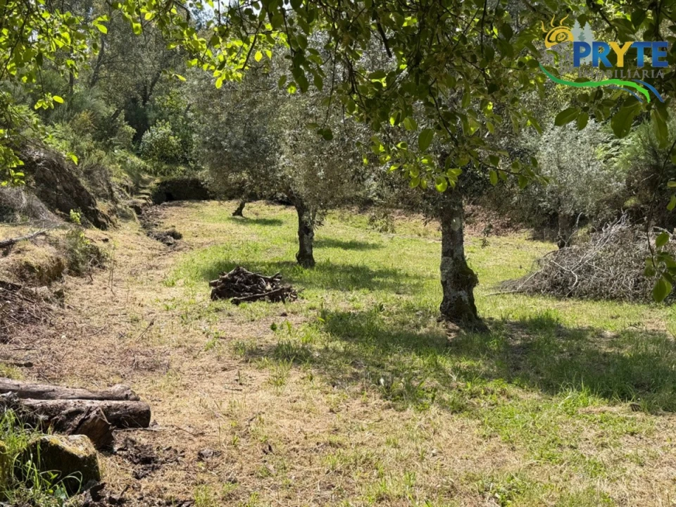 Terreno para Venda em Varzea dos Cavaleiros Foto 40