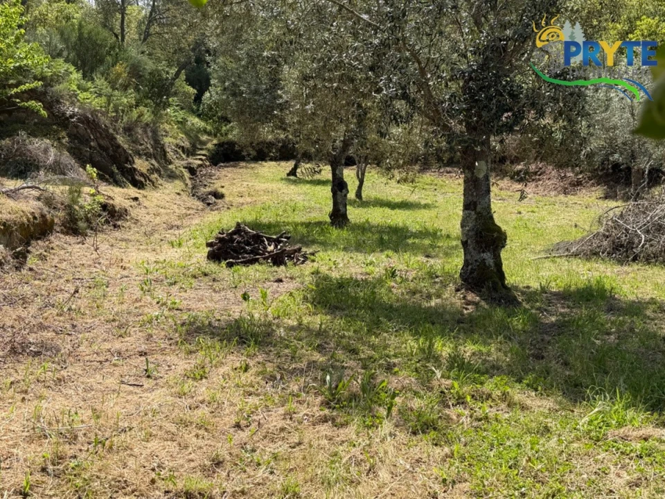 Terreno para Venda em Varzea dos Cavaleiros Foto 42