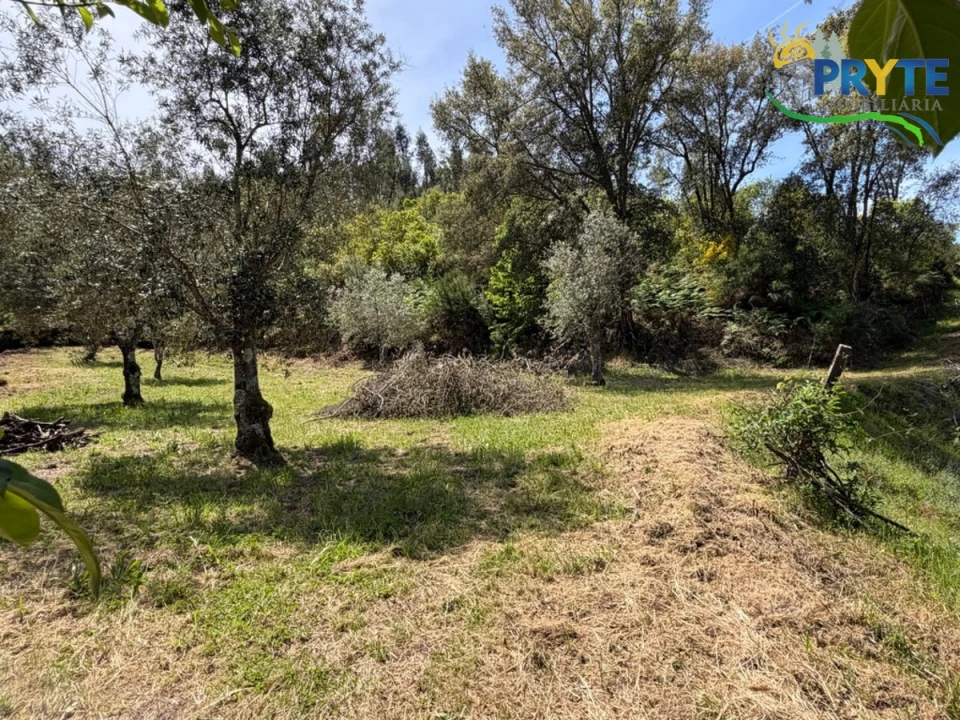 Terreno para Venda em Varzea dos Cavaleiros Foto 43