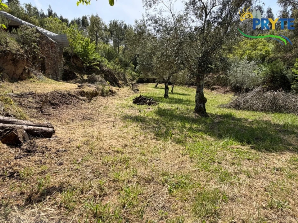 Terreno para Venda em Varzea dos Cavaleiros Foto 44