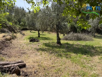 Terreno para Venda em Varzea dos Cavaleiros