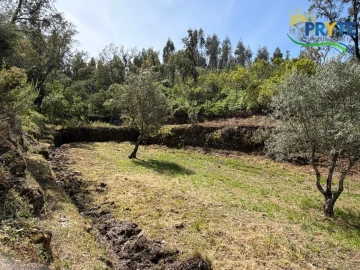 Terreno para Venda em Varzea dos Cavaleiros