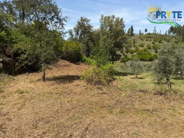 Terreno para Venda em Varzea dos Cavaleiros