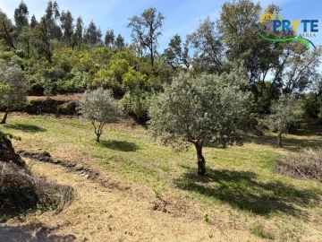 Terreno para Venda em Varzea dos Cavaleiros