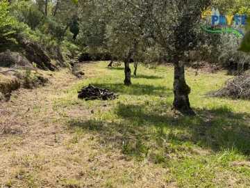 Terreno para Venda em Varzea dos Cavaleiros
