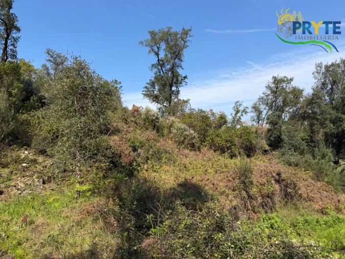 Terreno para Venda em Varzea dos Cavaleiros Foto 5