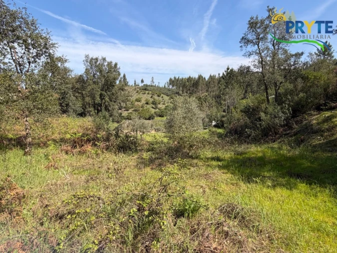 Terreno para Venda em Varzea dos Cavaleiros Foto 9