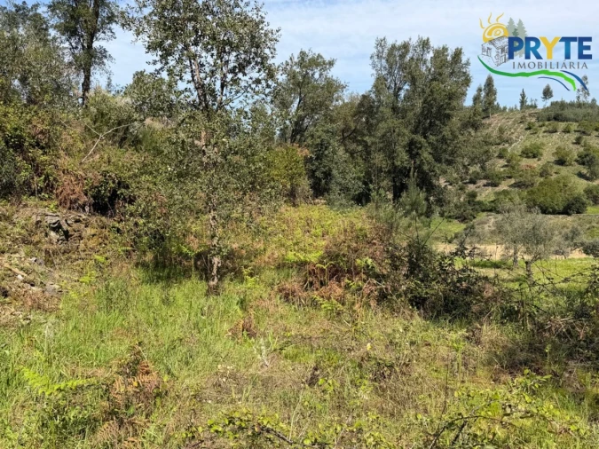 Terreno para Venda em Varzea dos Cavaleiros Foto 13