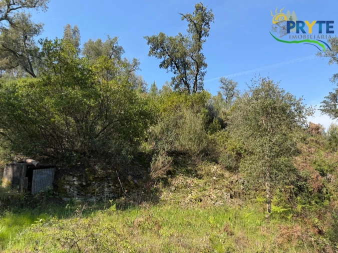 Terreno para Venda em Varzea dos Cavaleiros Foto 15