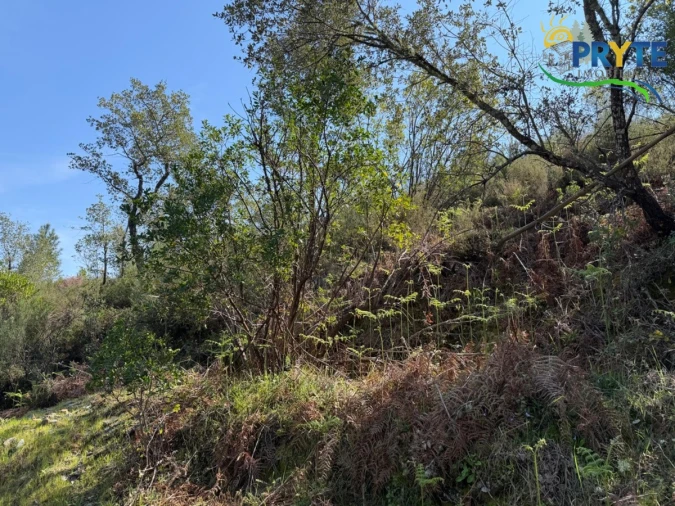 Terreno para Venda em Varzea dos Cavaleiros Foto 16