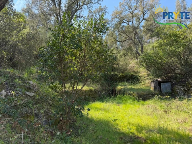 Terreno para Venda em Varzea dos Cavaleiros Foto 19