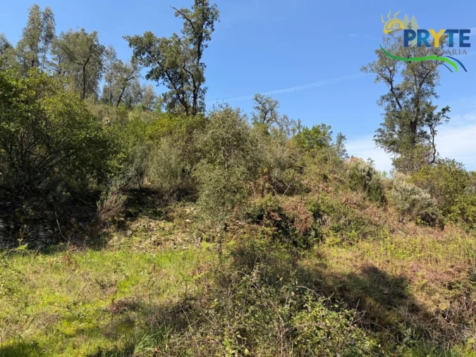 Terreno para Venda em Varzea dos Cavaleiros Foto 20