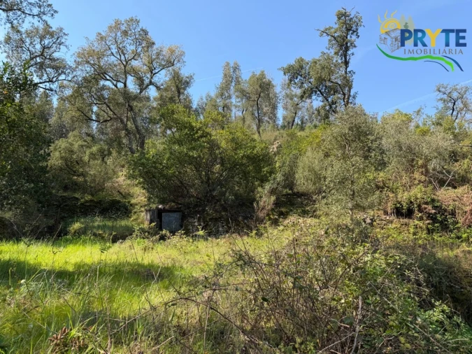 Terreno para Venda em Varzea dos Cavaleiros Foto 21