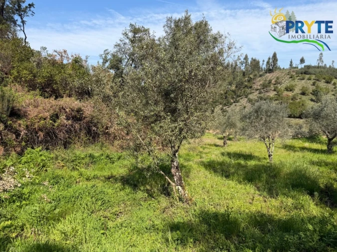 Terreno para Venda em Varzea dos Cavaleiros Foto 22
