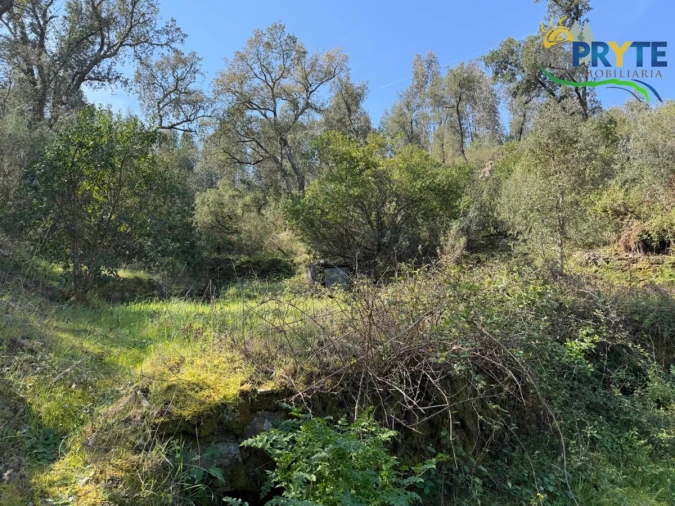 Terreno para Venda em Varzea dos Cavaleiros Foto 24