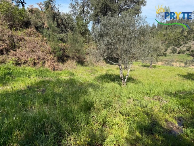 Terreno para Venda em Varzea dos Cavaleiros Foto 26