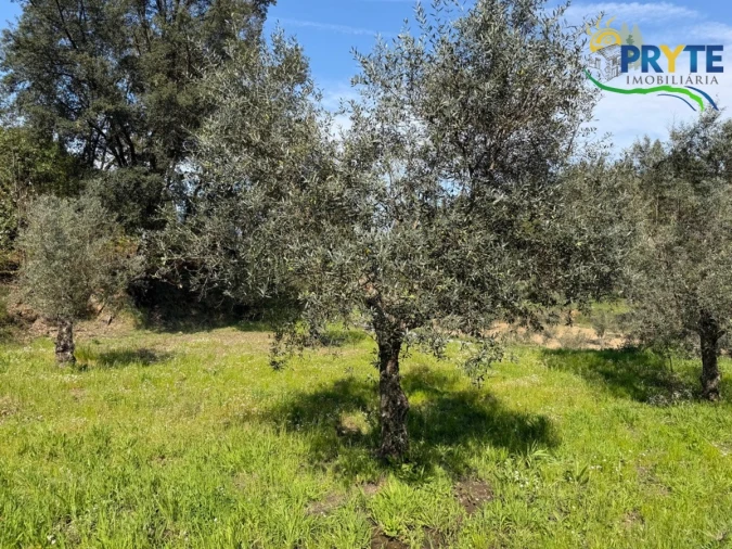 Terreno para Venda em Varzea dos Cavaleiros Foto 28