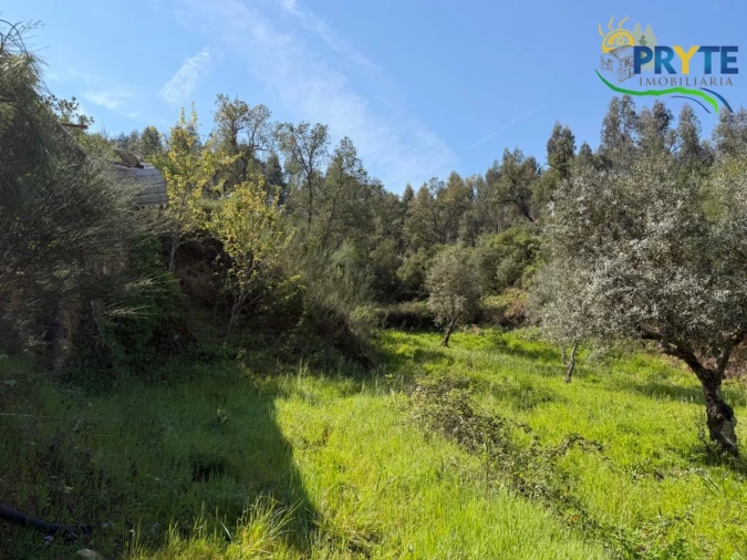Terreno para Venda em Varzea dos Cavaleiros Foto 29
