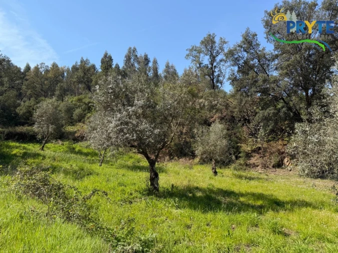 Terreno para Venda em Varzea dos Cavaleiros Foto 30