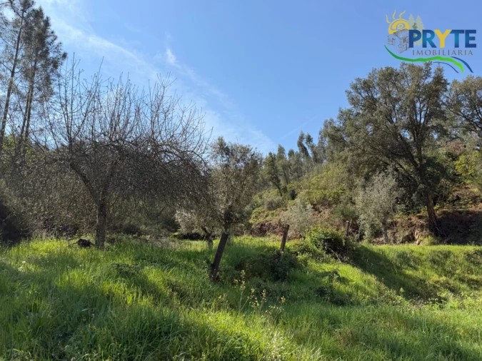 Terreno para Venda em Varzea dos Cavaleiros Foto 32