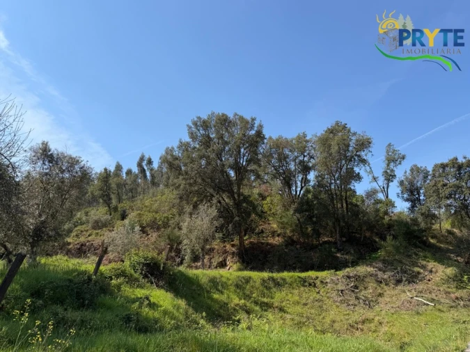 Terreno para Venda em Varzea dos Cavaleiros Foto 33
