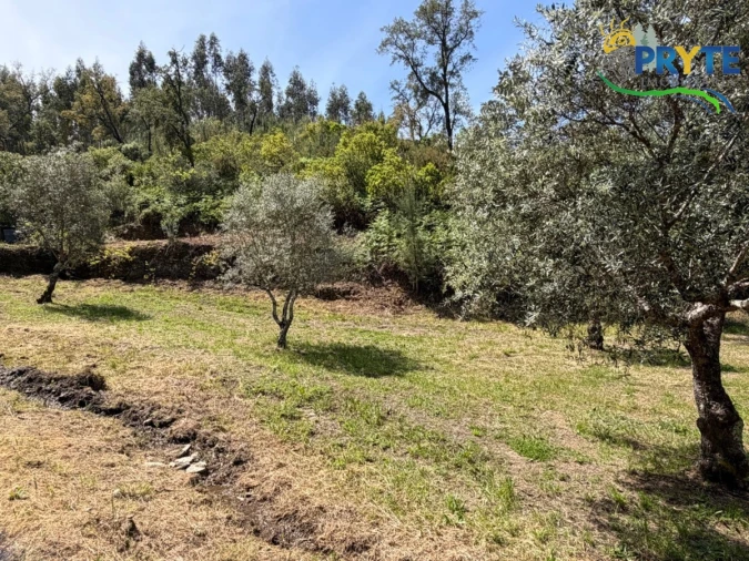 Terreno para Venda em Varzea dos Cavaleiros Foto 9