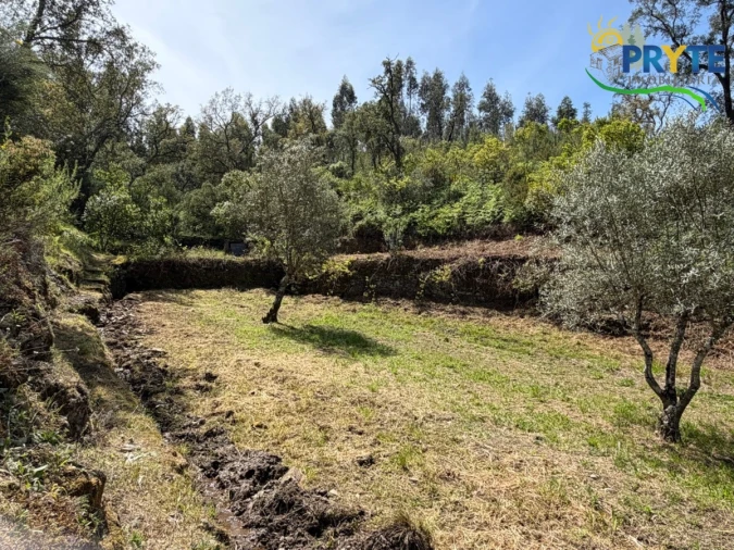 Terreno para Venda em Varzea dos Cavaleiros Foto 11