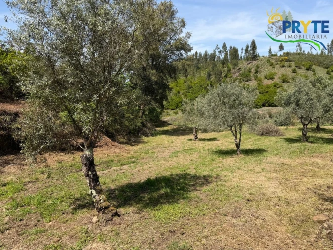 Terreno para Venda em Varzea dos Cavaleiros Foto 17