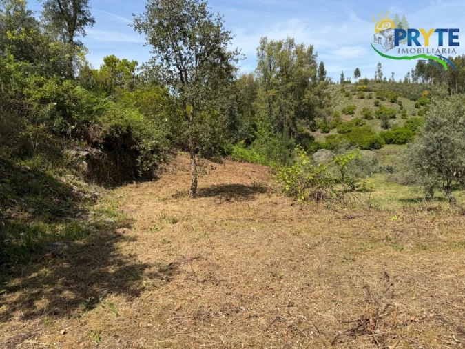 Terreno para Venda em Varzea dos Cavaleiros Foto 22