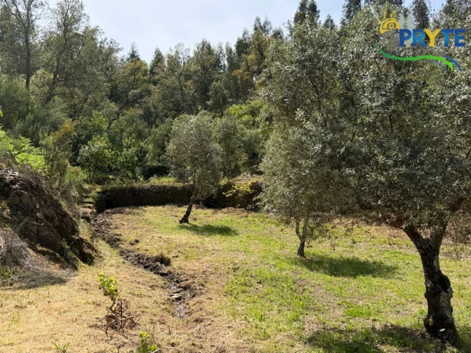 Terreno para Venda em Varzea dos Cavaleiros Foto 37
