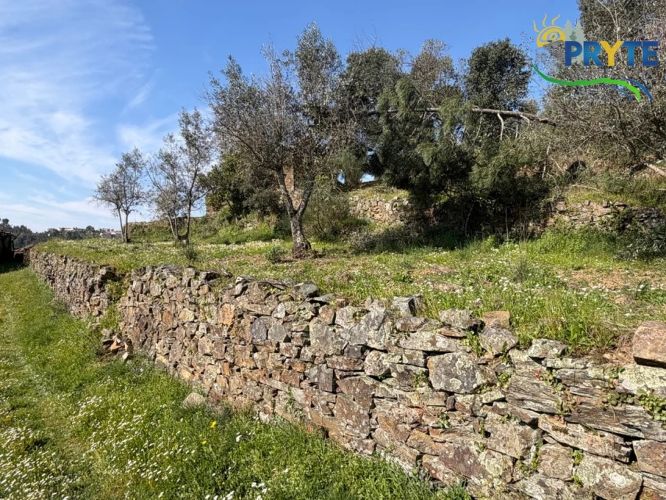 Terreno para Venda em Varzea dos Cavaleiros Foto 8