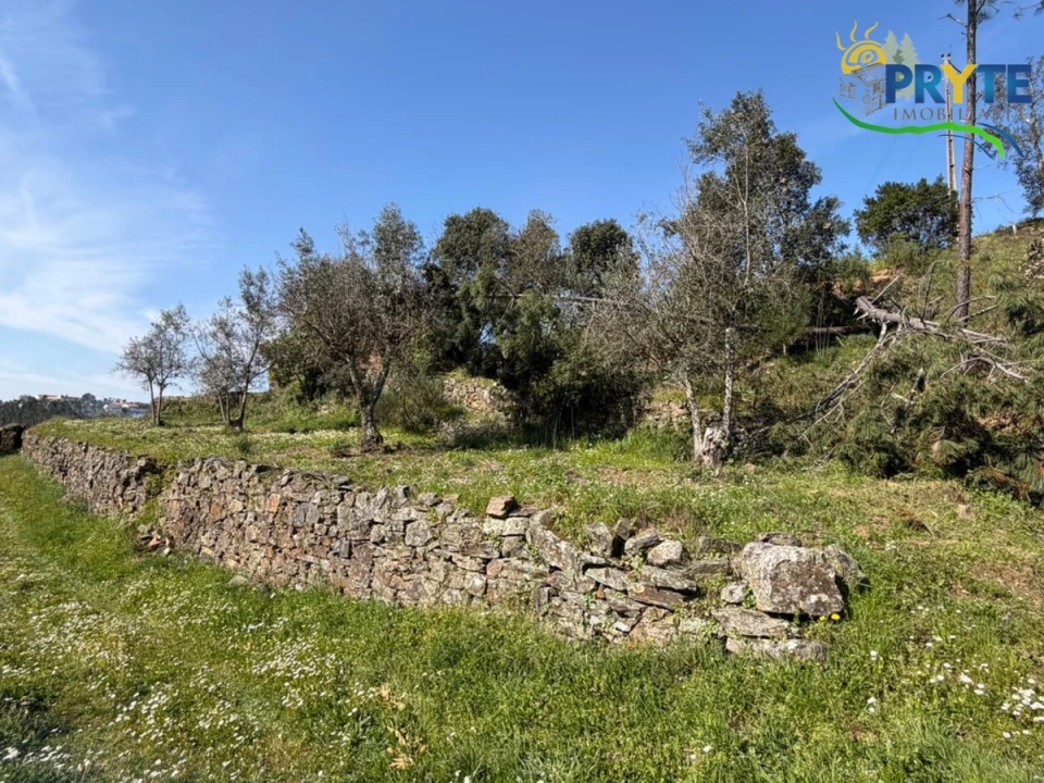 Terreno para Venda em Varzea dos Cavaleiros Foto 25