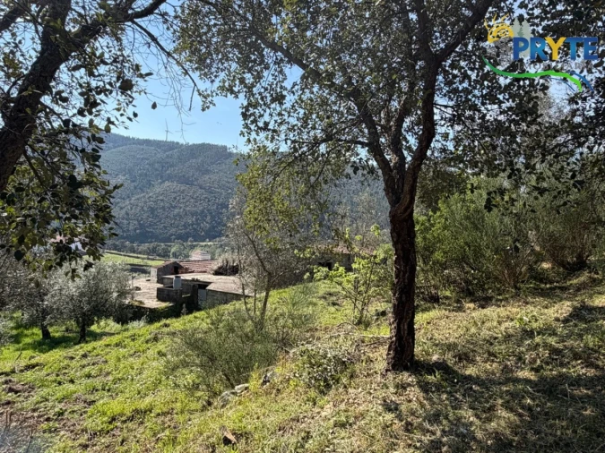 Terreno para Venda em Varzea dos Cavaleiros Foto 9